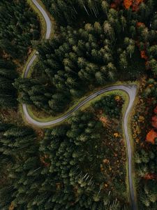 Превью обои лес, дорога, вид сверху, поворот, деревья