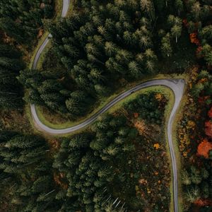 Превью обои лес, дорога, вид сверху, поворот, деревья