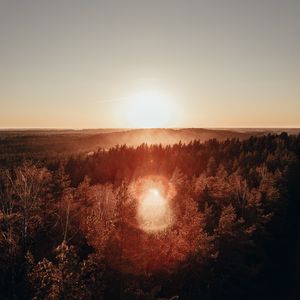 Превью обои лес, горизонт, рассвет, туман, солнце, блики, вид сверху