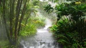 Превью обои лес, горная река, водопад, флора, фауна, деревья, потоки