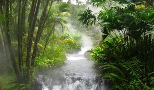 Превью обои лес, горная река, водопад, флора, фауна, деревья, потоки