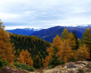 Превью обои лес, горы, деревья, осень