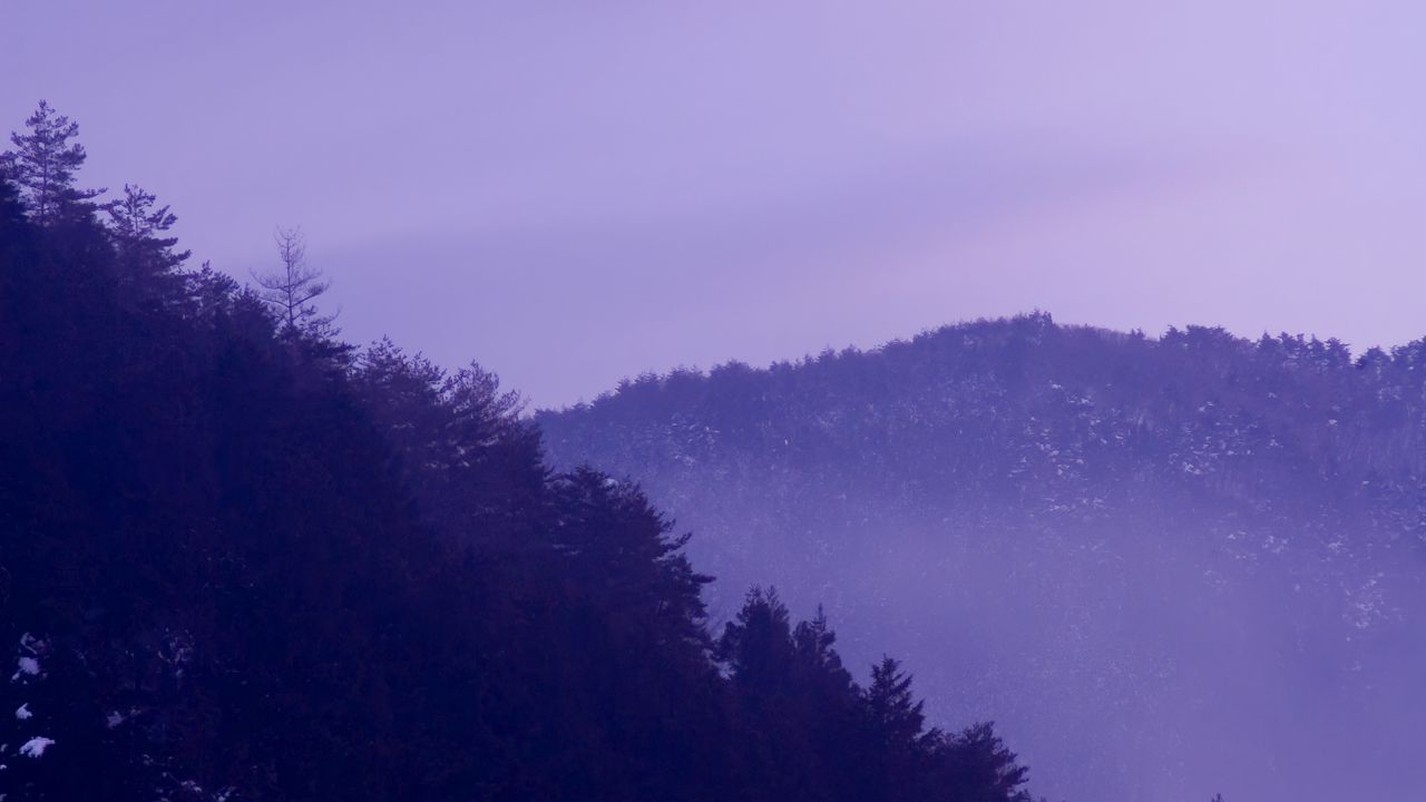 Обои лес, горы, деревья, природа, пейзаж