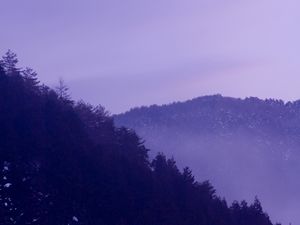 Превью обои лес, горы, деревья, природа, пейзаж