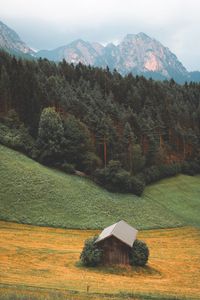 Превью обои лес, горы, дом, пейзаж