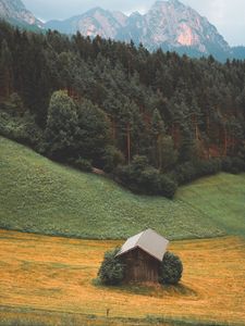 Превью обои лес, горы, дом, пейзаж