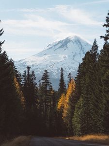 Превью обои лес, горы, дорога