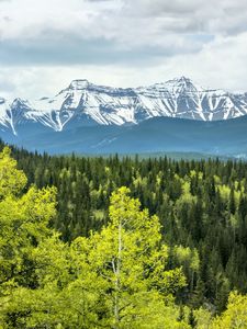 Превью обои лес, горы, облака, природа
