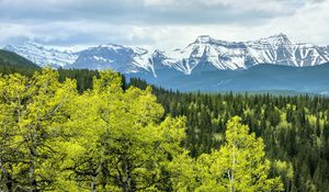 Превью обои лес, горы, облака, природа