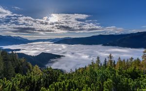 Превью обои лес, горы, облака, пейзаж, вид сверху