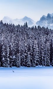 Превью обои лес, горы, пейзаж, снег, зима, природа