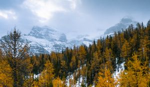 Превью обои лес, горы, пейзаж, снег, заснеженный