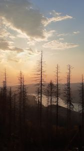 Превью обои лес, горы, река, пейзаж, закат