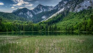 Превью обои лес, горы, скалы, пруд, трава