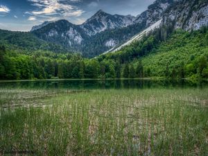 Превью обои лес, горы, скалы, пруд, трава