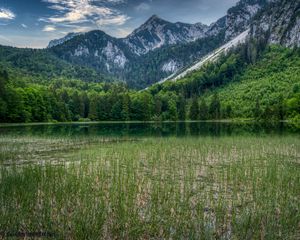 Превью обои лес, горы, скалы, пруд, трава