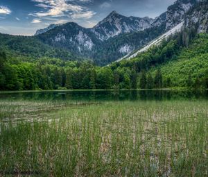 Превью обои лес, горы, скалы, пруд, трава