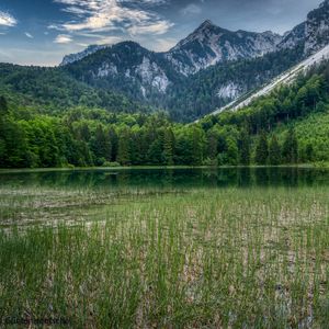 Превью обои лес, горы, скалы, пруд, трава