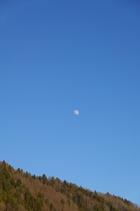 Превью обои лес, холм, луна, минимализм, природа