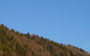 Превью обои лес, холм, луна, минимализм, природа