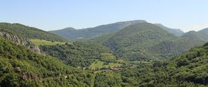 Превью обои лес, холмы, деревья, небо, природа
