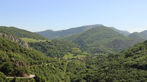 Превью обои лес, холмы, деревья, небо, природа
