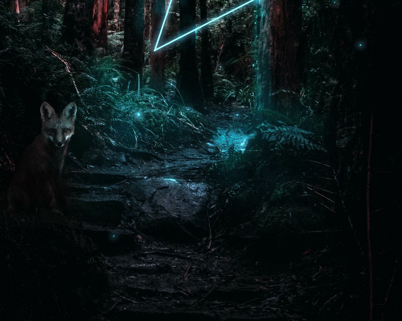 Лиса ночью в лесу