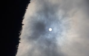 Превью обои лес, луна, ночь, небо, природа