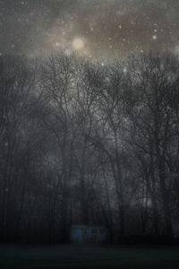 Превью обои лес, мистический, туман, деревья, ночь, звездное небо