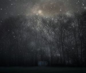 Превью обои лес, мистический, туман, деревья, ночь, звездное небо