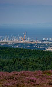 Превью обои лес, море, вид сверху