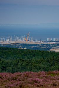 Превью обои лес, море, вид сверху