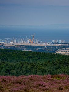 Превью обои лес, море, вид сверху