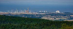 Превью обои лес, море, вид сверху