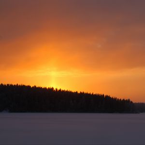 Превью обои лес, небо, закат, темный, снег, зима