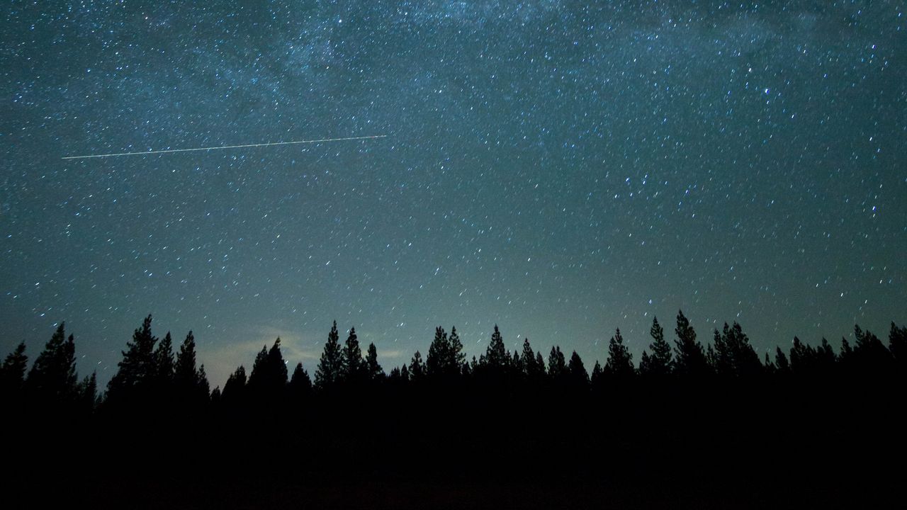 Обои лес, ночь, звездное небо, темнота