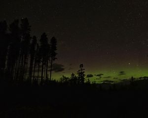 Превью обои лес, ночь, звезды, деревья, силуэт