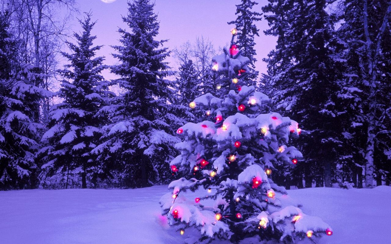 Фото зима новый год на заставку телефона