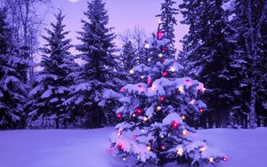 Превью обои лес, новый год, рождество, елка, огни, гирлянда, снег, зима, небо, луна, вечер