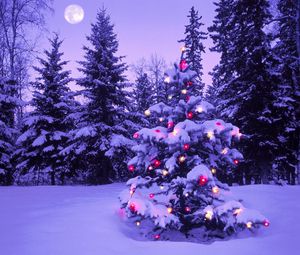 Превью обои лес, новый год, рождество, елка, огни, гирлянда, снег, зима, небо, луна, вечер