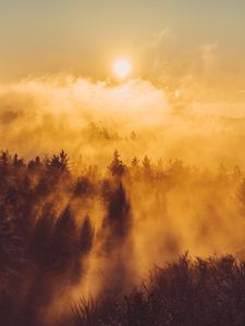 Превью обои лес, облака, лучи, солнце, природа, вид сверху