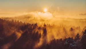 Превью обои лес, облака, лучи, солнце, природа, вид сверху