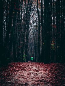 Превью обои лес, осень, человек, одинокий, бег, листва