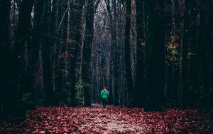 Превью обои лес, осень, человек, одинокий, бег, листва