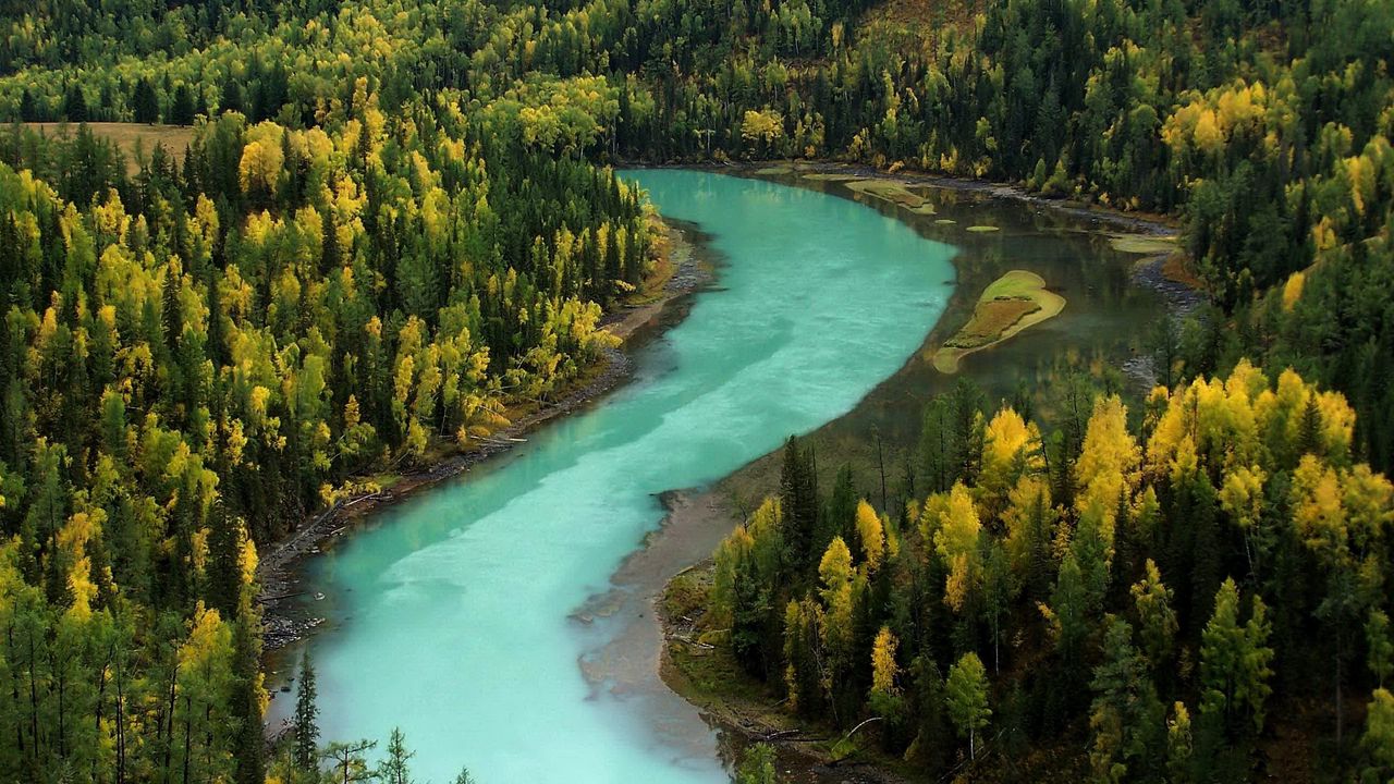 Обои лес, осень, река, изгибы, голубая вода, горы