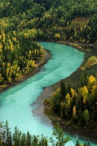 Превью обои лес, осень, река, изгибы, голубая вода, горы