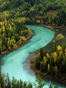 Превью обои лес, осень, река, изгибы, голубая вода, горы