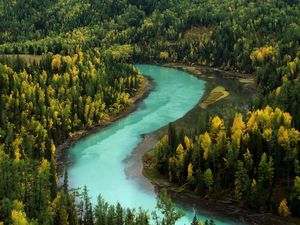 Превью обои лес, осень, река, изгибы, голубая вода, горы