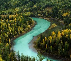 Превью обои лес, осень, река, изгибы, голубая вода, горы