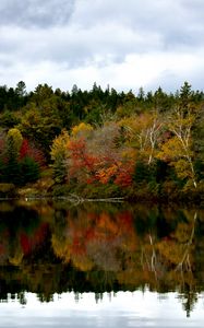 Превью обои лес, отражение, озеро, осень, пейзаж